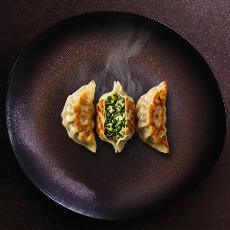 GYOZA LÉGUMES ET TOFU x3